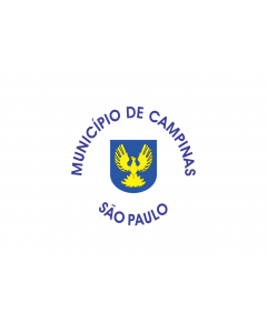 Flag: Campinas city  São Paulo, Brazil |  landscape flag | 1.35m² | 14.5sqft | 90x150cm | 3x5ft 