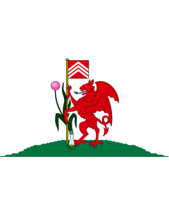 Flag: City of Cardiff |  landscape flag | 1.35m² | 14.5sqft | 90x150cm | 3x5ft 