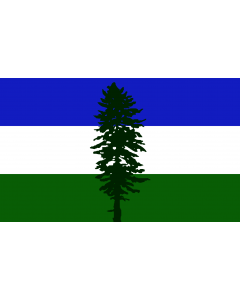 Bandiera: Cascadia | Cascadia, based on en Image Cascadian flag |  bandiera paesaggio | 1.35m² | 90x150cm 