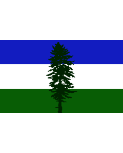 Tisch-Fahne / Tisch-Flagge: Cascadia 15x25cm