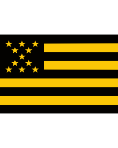 Flag: Uruguayan Club Atlético Peñarol de Montevideo |  landscape flag | 1.35m² | 14.5sqft | 90x150cm | 3x5ft 