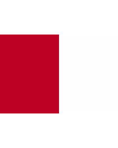 Flag: County Cork, Ireland |  landscape flag | 1.35m² | 14.5sqft | 90x150cm | 3x5ft 