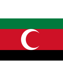 Flag: Darfur Liberation Front, Sudan |  landscape flag | 1.35m² | 14.5sqft | 90x150cm | 3x5ft 
