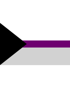 Flag: Demisexual Pride | Claimed flag for the demisexual sexuality |  landscape flag | 1.35m² | 14.5sqft | 90x150cm | 3x5ft 