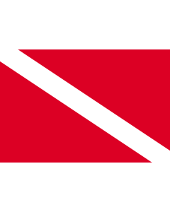 Flag: Diver down |  landscape flag | 1.35m² | 14.5sqft | 90x150cm | 3x5ft 