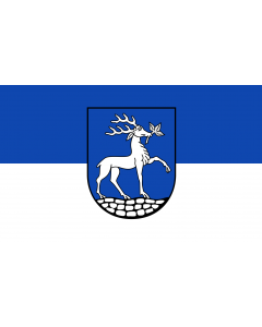 Flag: City of Drensteinfurt |  landscape flag | 1.35m² | 14.5sqft | 90x150cm | 3x5ft 