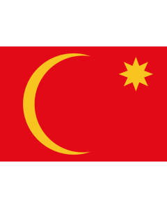 Flag: Emirate of Ha il |  landscape flag | 1.35m² | 14.5sqft | 90x150cm | 3x5ft 