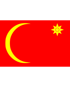 Flag: Emirate of Ha il, 1835 - 1920 |  landscape flag | 1.35m² | 14.5sqft | 90x150cm | 3x5ft 