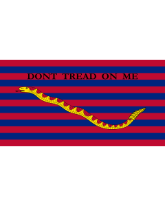 Flag: Ensign of the South Carolina Navy |  landscape flag | 1.35m² | 14.5sqft | 85x160cm | 33x60inch 