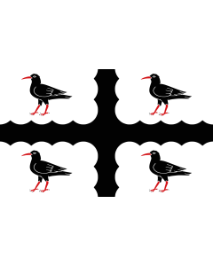 Flag: Flintshire flag  ABC proposal | Based on it |  landscape flag | 1.35m² | 14.5sqft | 90x150cm | 3x5ft 