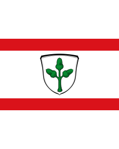 Flag: Frankenhausen |  landscape flag | 1.35m² | 14.5sqft | 90x150cm | 3x5ft 