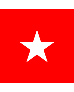 Flag: Free State of Counani between 1904 - 1912 |  1.35m² | 14.5sqft | 120x120cm | 45x45inch 