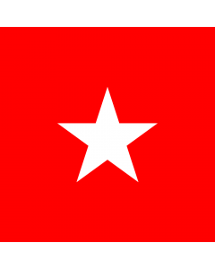 Flag: Free State of Counani between 1904 - 1912 |  1.35m² | 14.5sqft | 120x120cm | 45x45inch 