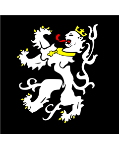 Flag: GentseVlag | Ghent |  1.35m² | 14.5sqft | 120x120cm | 45x45inch 