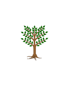 Flag: Giudicato of Arborea |  landscape flag | 1.35m² | 14.5sqft | 90x150cm | 3x5ft 