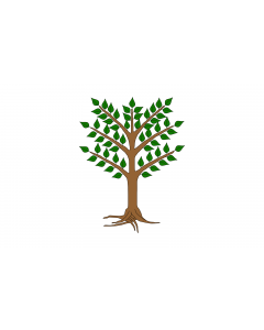 Flag: Giudicato of Arborea |  landscape flag | 1.35m² | 14.5sqft | 90x150cm | 3x5ft 