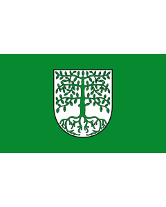 Flag: Municipality of Hagenbach |  landscape flag | 1.35m² | 14.5sqft | 90x150cm | 3x5ft 