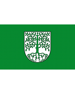 Flag: Municipality of Hagenbach |  landscape flag | 1.35m² | 14.5sqft | 90x150cm | 3x5ft 