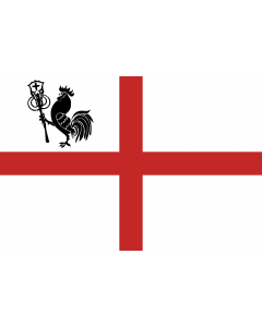 Flag: History flag of Romagna |  landscape flag | 1.35m² | 14.5sqft | 90x150cm | 3x5ft 