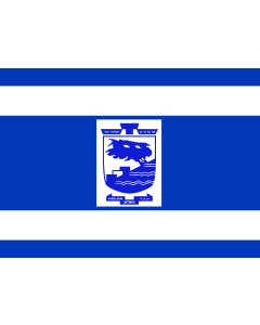 Flag: Municipality of Holon |  landscape flag | 1.35m² | 14.5sqft | 100x140cm | 40x55inch 