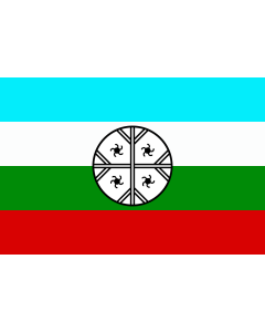 Flag: Huenteche | Mapuche Flag of Huenteche Territory as chosen by the Mapuche organisation Aukin Wallmapu Ngulam - Consejo de Todas las Tierras [ Council of all lands ] in March 1991 | Mapuche del Territorio Huenteche |  landscape flag | 1.35m² | 14.5sqf