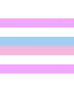 Flag: Bigender people |  landscape flag | 1.35m² | 14.5sqft | 100x130cm | 40x50inch 