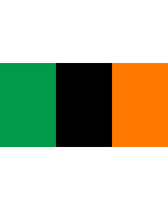 Flag: Anti-treaty Irish Republican flag    conversion of File Anti-treaty |  landscape flag | 1.35m² | 14.5sqft | 80x160cm | 30x60inch 