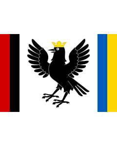 Flag: Ivano-Frankivsk Oblast, Ukraine |  landscape flag | 1.35m² | 14.5sqft | 90x150cm | 3x5ft 