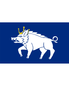 Flag: Kingswinford town | Kingswinford town flag  a flag registered on the UK Flag Registry |  landscape flag | 1.35m² | 14.5sqft | 90x150cm | 3x5ft 