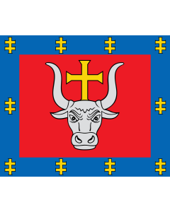 Flag: LTU Kauno apskritis | Kauno County, Lithuania |  landscape flag | 1.35m² | 14.5sqft | 110x130cm | 40x50inch 