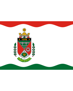 Flag: Mórichida |  landscape flag | 1.35m² | 14.5sqft | 90x150cm | 3x5ft 