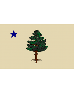 Flag: Maine 1901 | Maine, 1901—1908 |  landscape flag | 1.35m² | 14.5sqft | 90x150cm | 3x5ft 