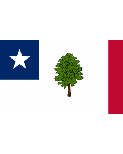 Flag: Mississippi 1861 |  landscape flag | 1.35m² | 14.5sqft | 90x150cm | 3x5ft 