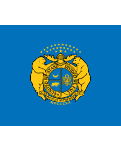 Flag: Missouri State Guard | Missouri State Guard* used by Missouri State Guard from June 5, 1861 until 1865 created by MSG General Sterling Price format 5 6 shape rectangular FIAV ↑ colours blue |  landscape flag | 1.35m² | 14.5sqft | 110x130cm | 40x50in