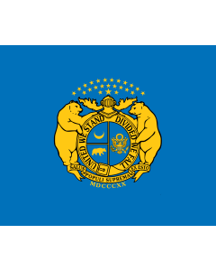 Flag: Missouri State Guard | Missouri State Guard* used by Missouri State Guard from June 5, 1861 until 1865 created by MSG General Sterling Price format 5 6 shape rectangular FIAV ↑ colours blue |  landscape flag | 1.35m² | 14.5sqft | 110x130cm | 40x50in