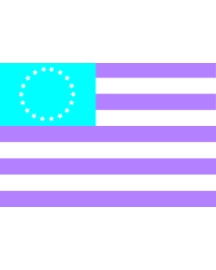 Flag: Nett, Pohnpei |  landscape flag | 1.35m² | 14.5sqft | 85x160cm | 33x60inch 