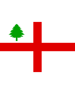 Flag: New England, described by Lt. Graydon in 1686 |  landscape flag | 1.35m² | 14.5sqft | 90x150cm | 3x5ft 