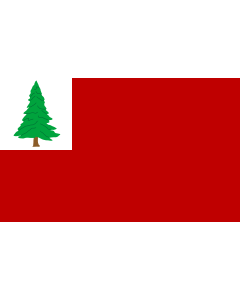Flag: New England red ensign |  landscape flag | 1.35m² | 14.5sqft | 90x150cm | 3x5ft 