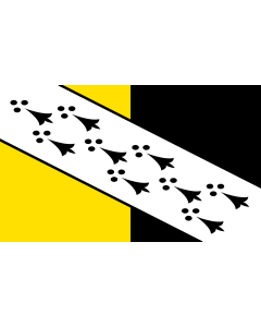 Flag: Norfolk flag  ABC proposal | Proposed Norfolk flag by the Association of British Counties |  landscape flag | 1.35m² | 14.5sqft | 90x150cm | 3x5ft 