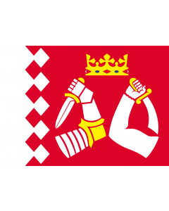Flag: North Karelia |  landscape flag | 1.35m² | 14.5sqft | 90x150cm | 3x5ft 