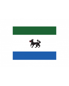 Flag: Oficial Ayuntamiento Peque  Zamora |  landscape flag | 1.35m² | 14.5sqft | 90x150cm | 3x5ft 