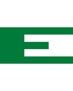 Flag: Old flag of the European Movement |  landscape flag | 1.35m² | 14.5sqft | 80x160cm | 30x60inch 