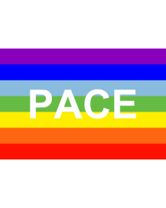 Flag: PACE |  landscape flag | 0.06m² | 0.65sqft | 20x30cm | 8x12in 