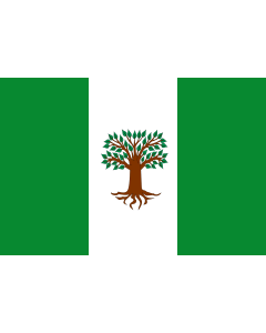 Flag: Town of Pachavita; in Boyacá, Colombia |  landscape flag | 1.35m² | 14.5sqft | 90x150cm | 3x5ft 