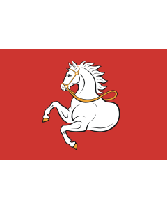 Flag: Municipal flag of Pardubice city, Czechia |  landscape flag | 1.35m² | 14.5sqft | 90x150cm | 3x5ft 