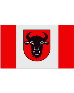 Flag: POL Zambrów | Zambrów | Zambrowa |  landscape flag | 1.35m² | 14.5sqft | 90x150cm | 3x5ft 