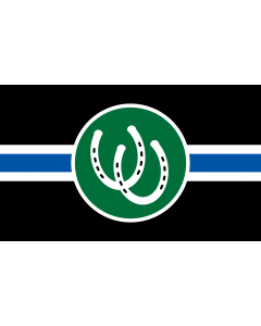 Flag: The Pony Pride Flag provides a visual way of representing involvement in BDSM pony play |  landscape flag | 1.35m² | 14.5sqft | 90x150cm | 3x5ft 