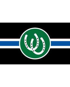 Bandera de Pony Pride | The Pony Pride Flag provides a visual way of representing involvement in BDSM pony play | bandera horizontal | 2.16m² | 120x180cm