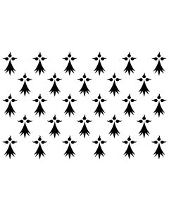 Flag: Province de Bretagne  1532 | Province de Bretagne en 1532  Hermine plain |  landscape flag | 1.35m² | 14.5sqft | 90x150cm | 3x5ft 