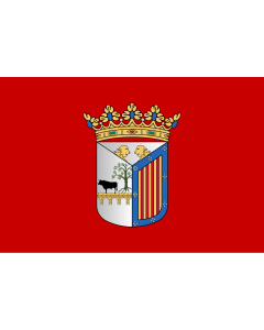 Flag: Salamanca | City of Salamanca, Salamanca, Spain |  landscape flag | 1.35m² | 14.5sqft | 90x150cm | 3x5ft 